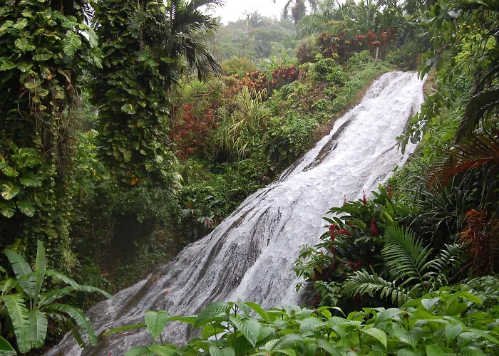 Hotel At Shaw Park Gardens & Waterfalls Ocho Ríos