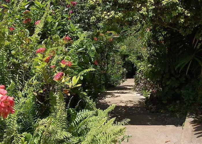 At Shaw Park Gardens & Waterfalls 3*